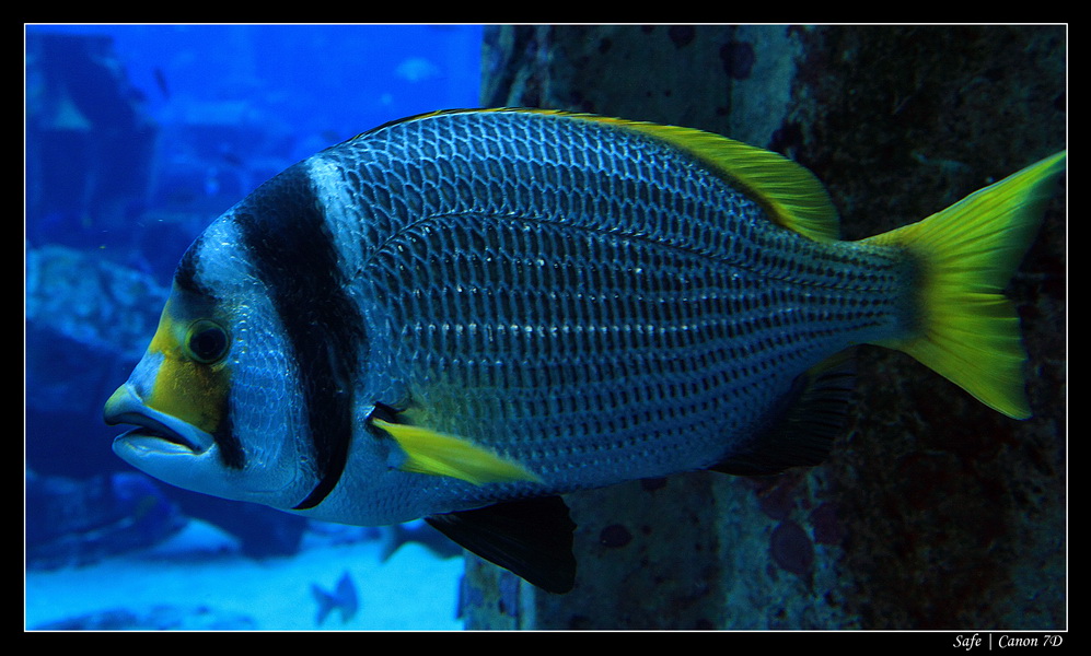 2012 - 06 - Dubai - 040